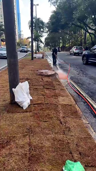 Lavagem da via